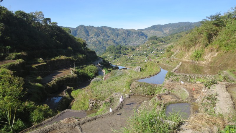 The Terraces on the Mainit Side of the Mountain