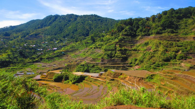 The Village of Maligcong Among the Terraces