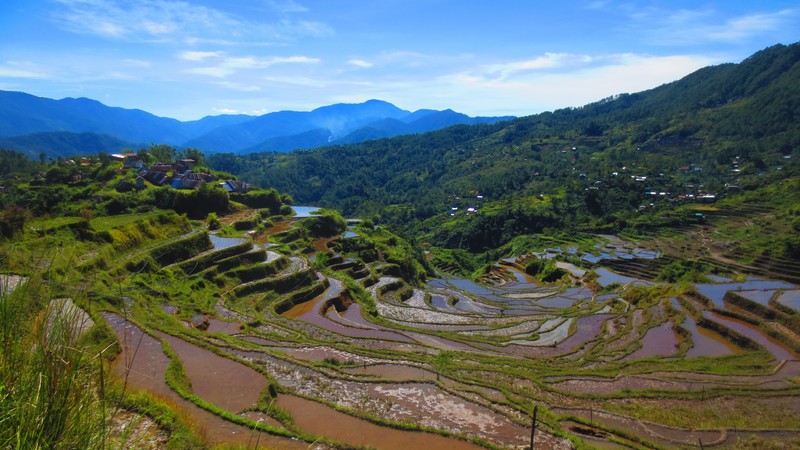 The Spectacular Maligcong Rice Terraces