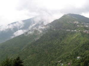 "Hills" of Darjeeling