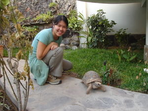 me and turtle