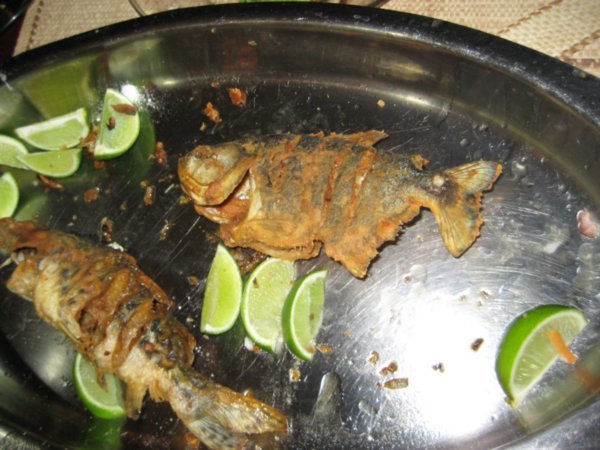 Cooked Piranha