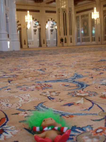 Afternoon nap on the world's largest carpet...aaaah.
