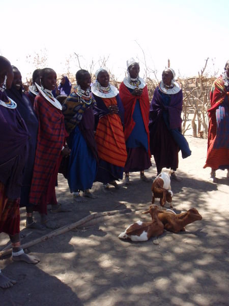 Masai village "cultural extortion experience"