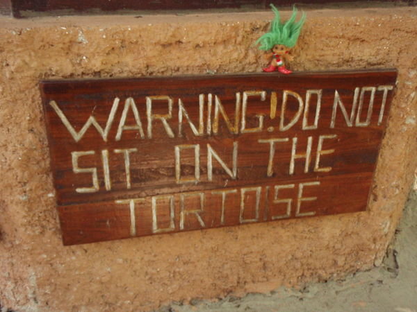 Please do not sit on the tortoise Mr. Green