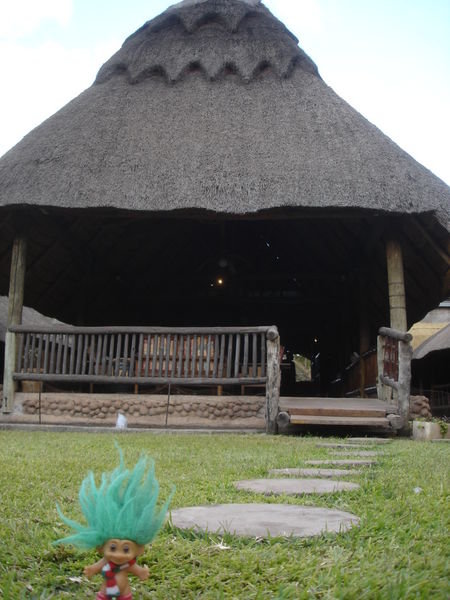 Typical thatch roof in Zambia