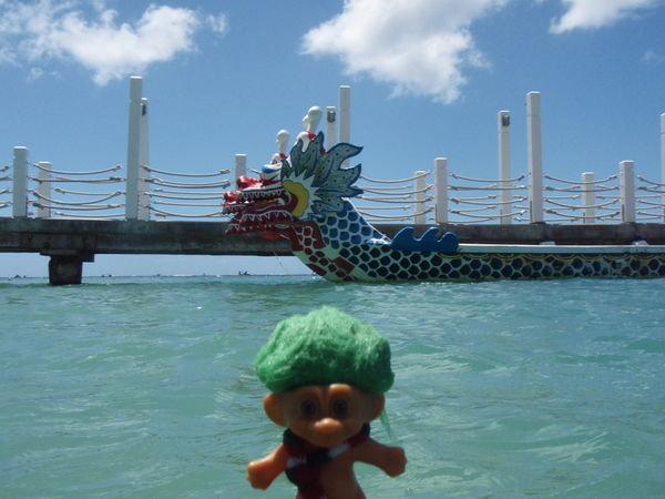 Mr. Green takes a quick dip in Waikiki Beach