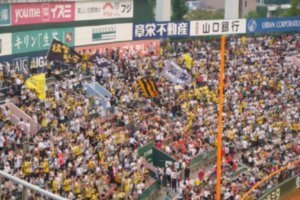Baseball! Hanshin Tigers v Hiroshima Carps