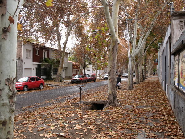 A Mendoza backstreet