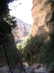 Looking down the canyon