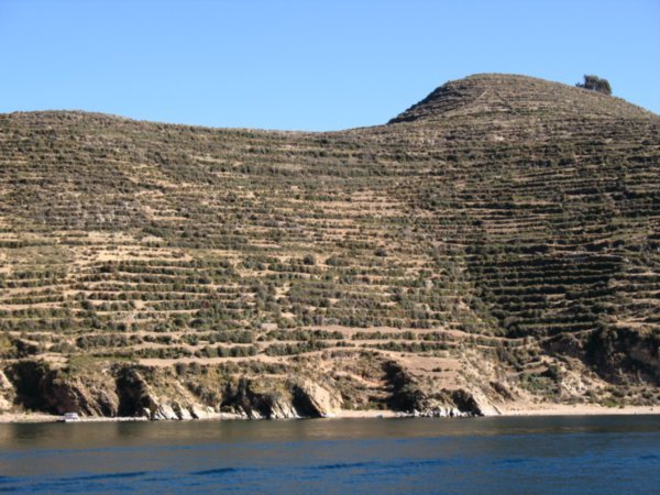 Terracing on Isla del Sol southern tip