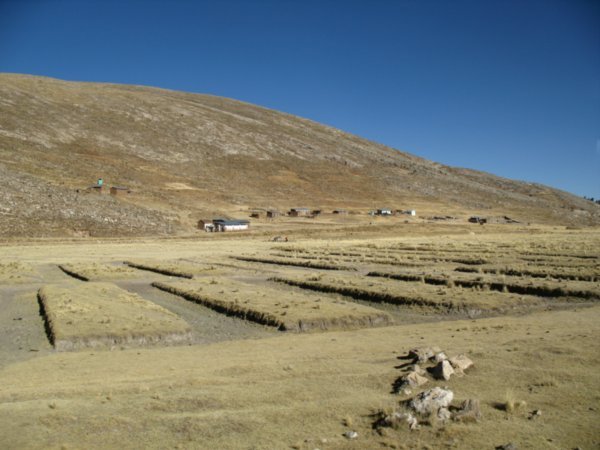 Inca irrigation system (Andean altiplano)