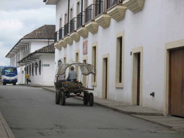 Horse & Cart, Popayan