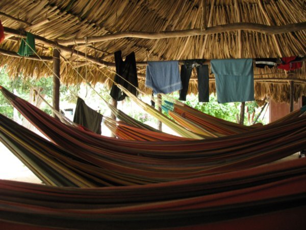 Hammock area - view to Marie's right
