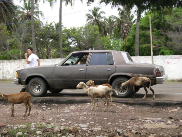 Our luxury transport into Venezuela (don't know who the dude leaning on the bonnet is)