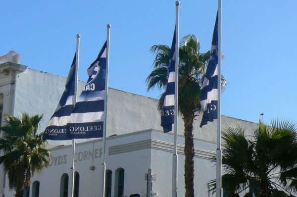 Flags flying all through town