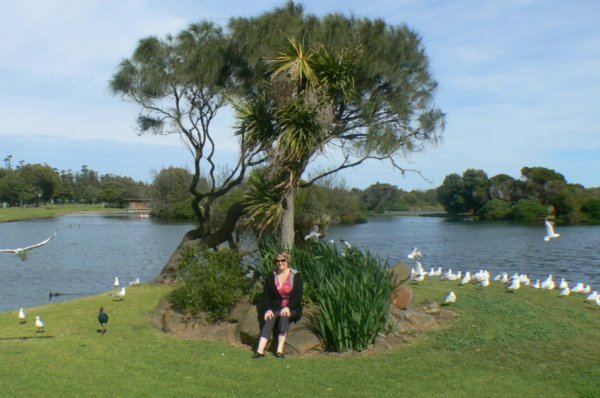 Glenda and the Seagulls