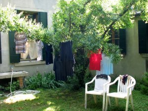 Washing day    ' a laundry tree ' in our apartment garden