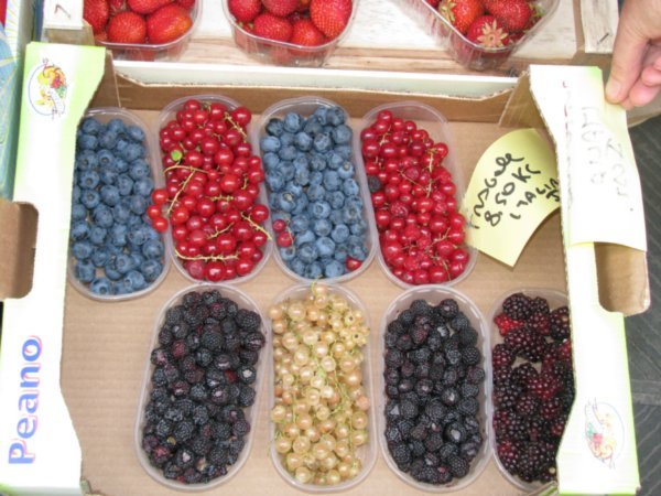 Fresh berries for sale