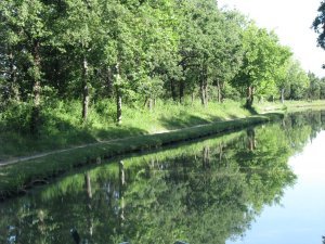 Reflections in the calm canal