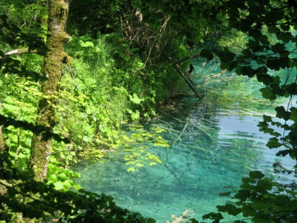 Aquamarine lakes and green trees