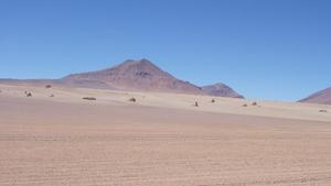 Altiplano landscape