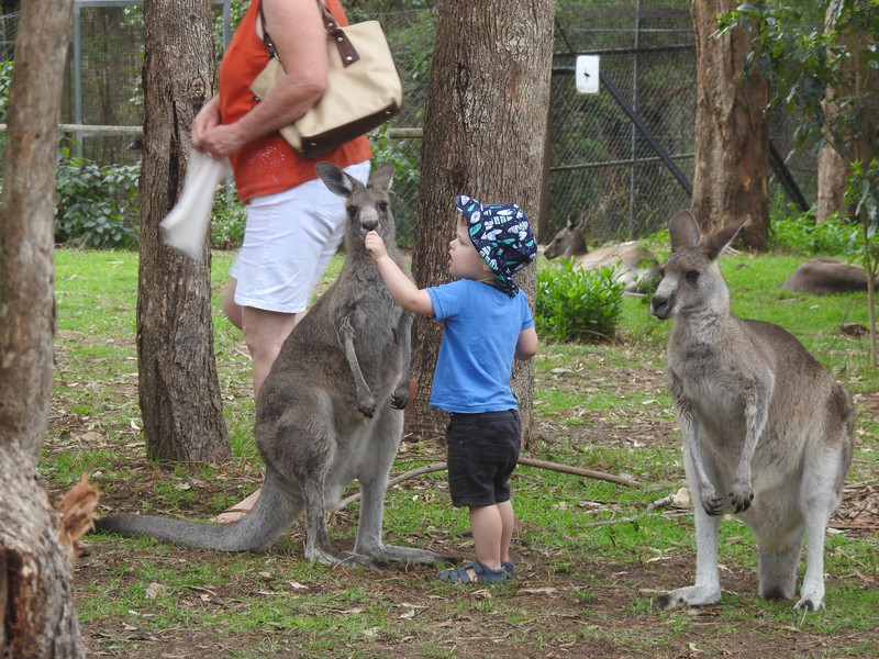 He and the Roo seemed to come to terms