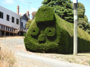 Interesting topiary
