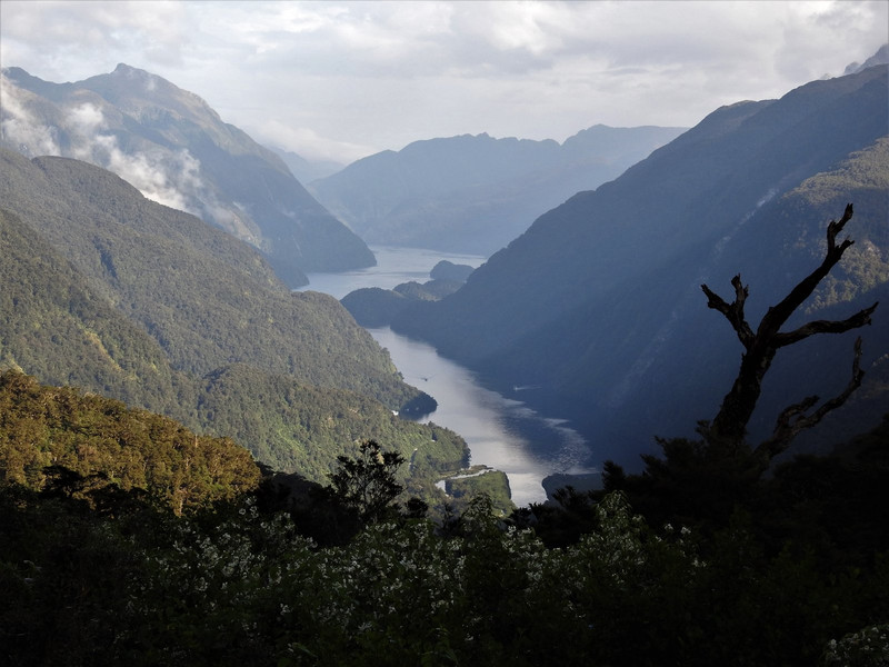 The approach to Doubtful Sound