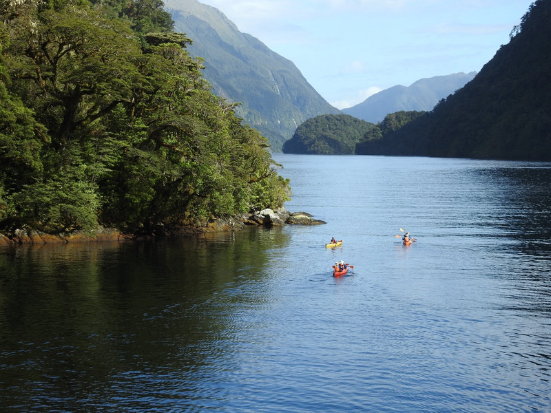 Kayakers at Doubtful Sound