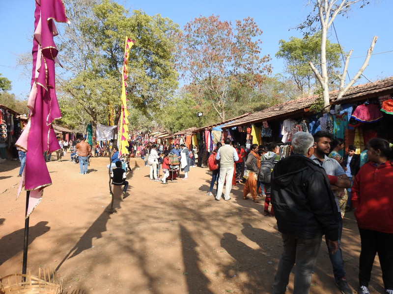 The fair in Udaipur