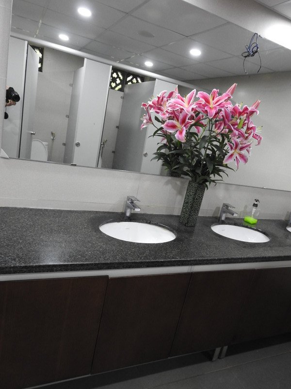 you gotta love a country that places beautiful lilies in public restroom