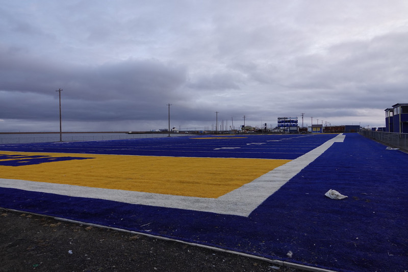 the only other Blue Turf in the US