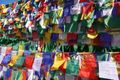 Beautiful Prayer Flags at Happy Valley Mussoorie