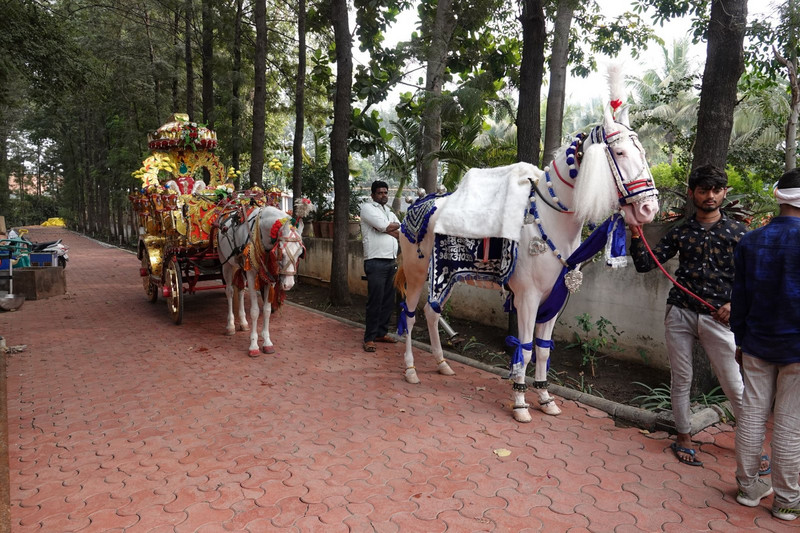 The carriage and horse in waiting