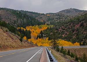 Gorgeous aspens on Rt44 N Utah
