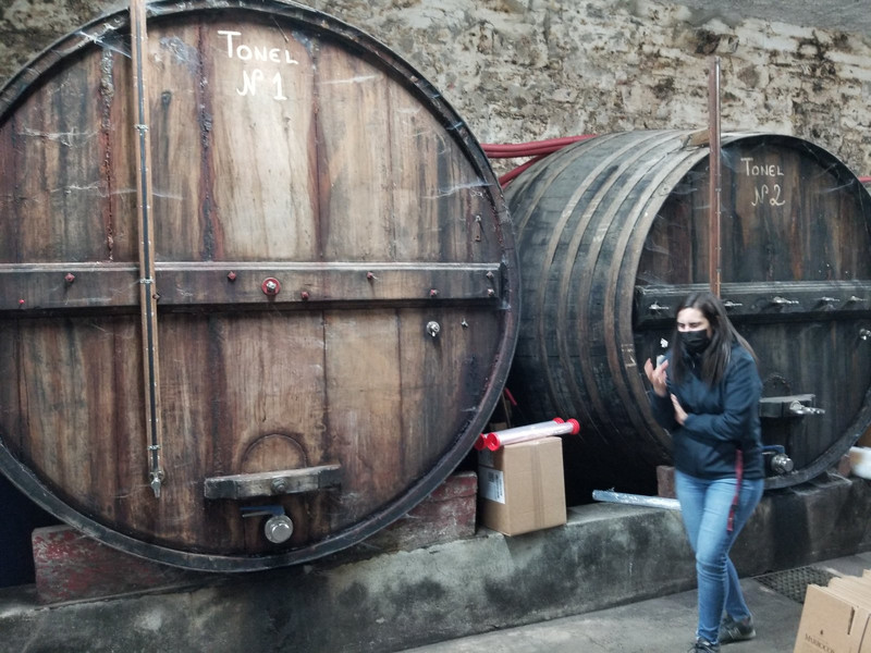 1500 liters of port wine in the making