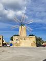 Windmill in Gozo 
