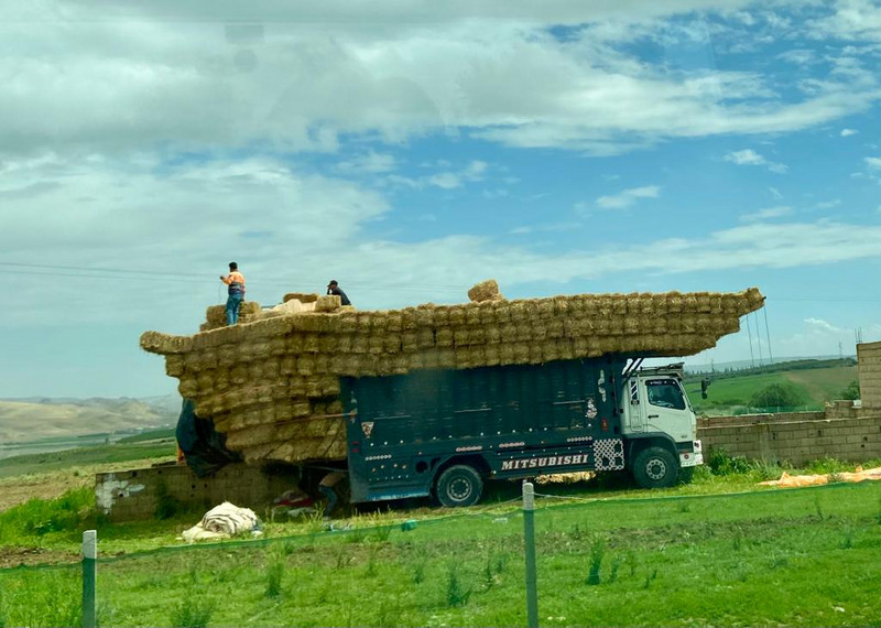 Hay bales transported - pretty amazing balance!