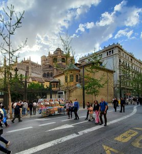 Granada street scene with Cathedral background