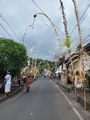Penjor line the streets for Galungan