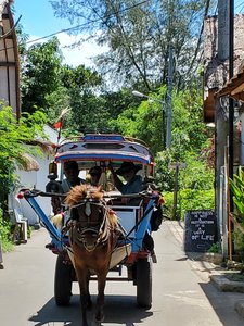 Only means of transport on Gili Air