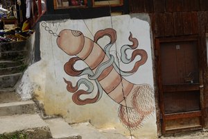 On the front of many houses in Punakha to ward off evil spirits