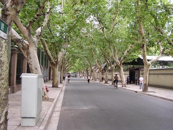 Typical street in the French Concession