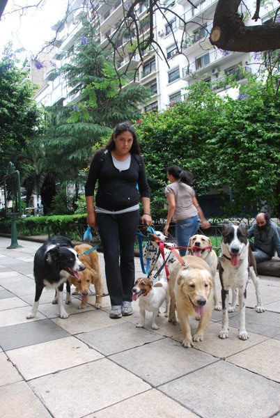 Buenos Aires dog walker