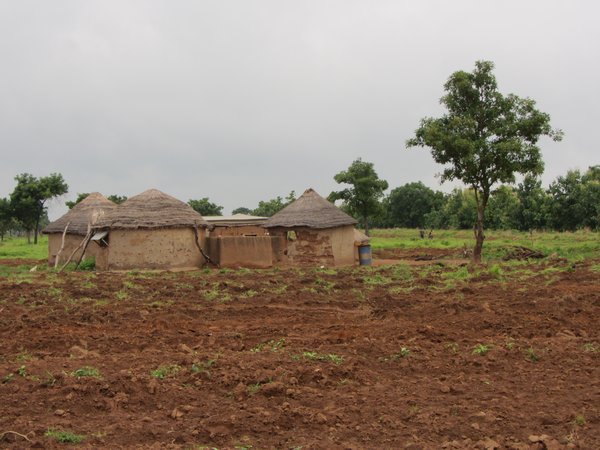 Traditional housing