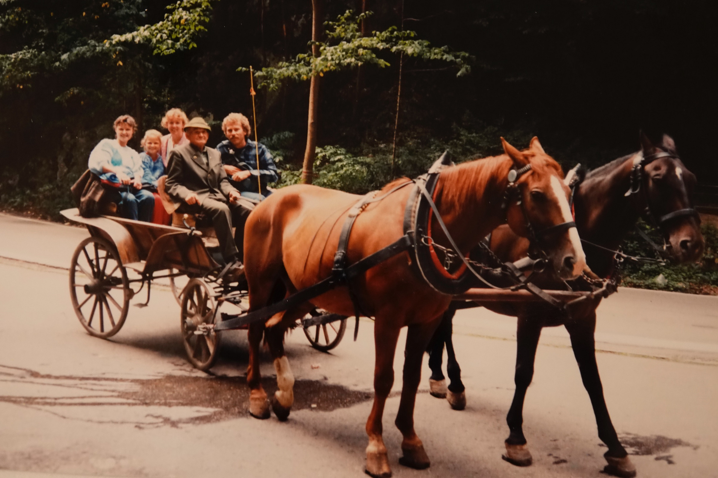 A horse cart ride | Photo