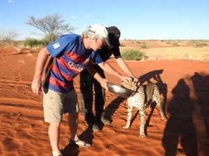 Ed petting the cheetah