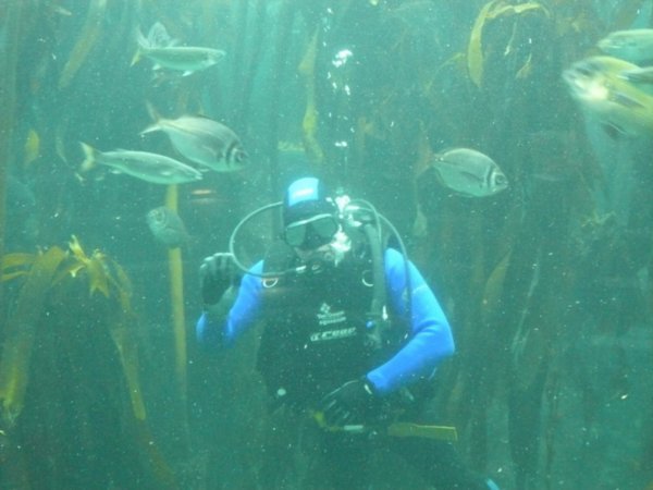 Gary amongst the Kelp