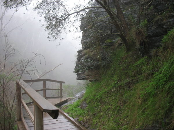 Narrow Trail in Morialta Gorge
